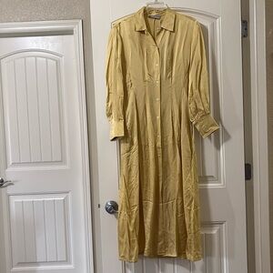 NWT Everlane Hammered Satin Shirt Dress